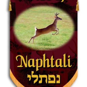 Tribe of Naphtali/Simeon